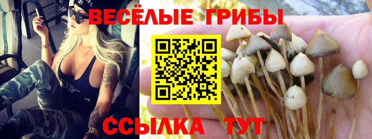 Псилоцибиновые грибы мухоморы  Вход с VPN  Псилоцибиновые грибы Cubensis  Кисловодск 